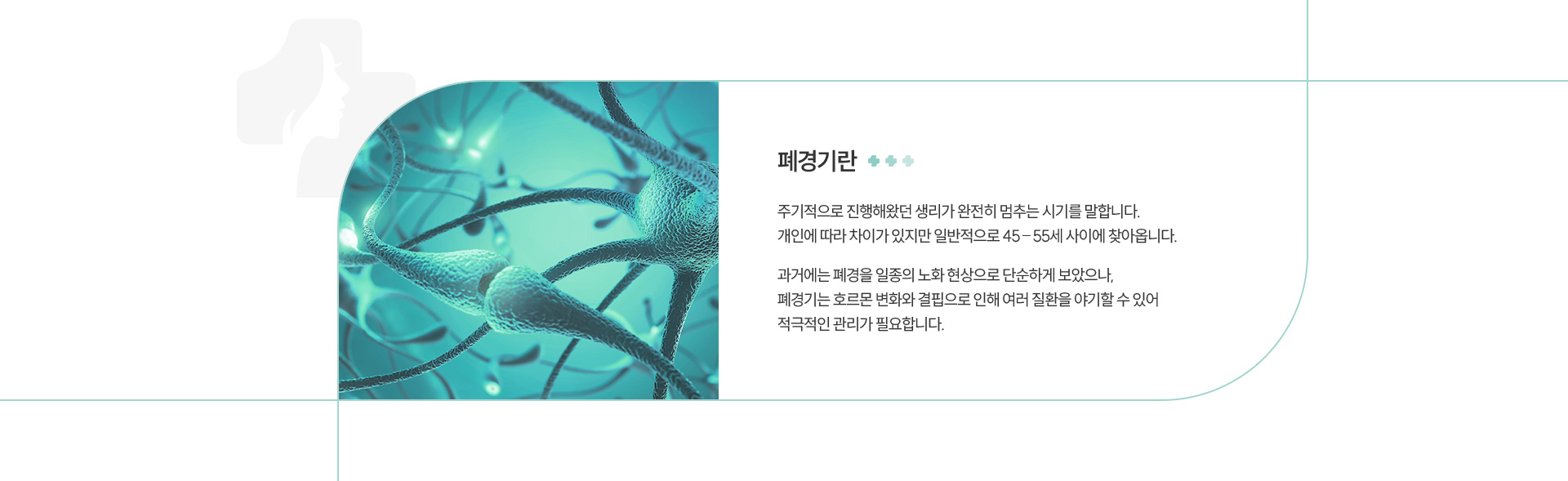 폐경기클리닉 정의