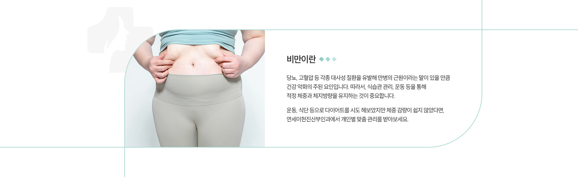 비만클리닉 정의