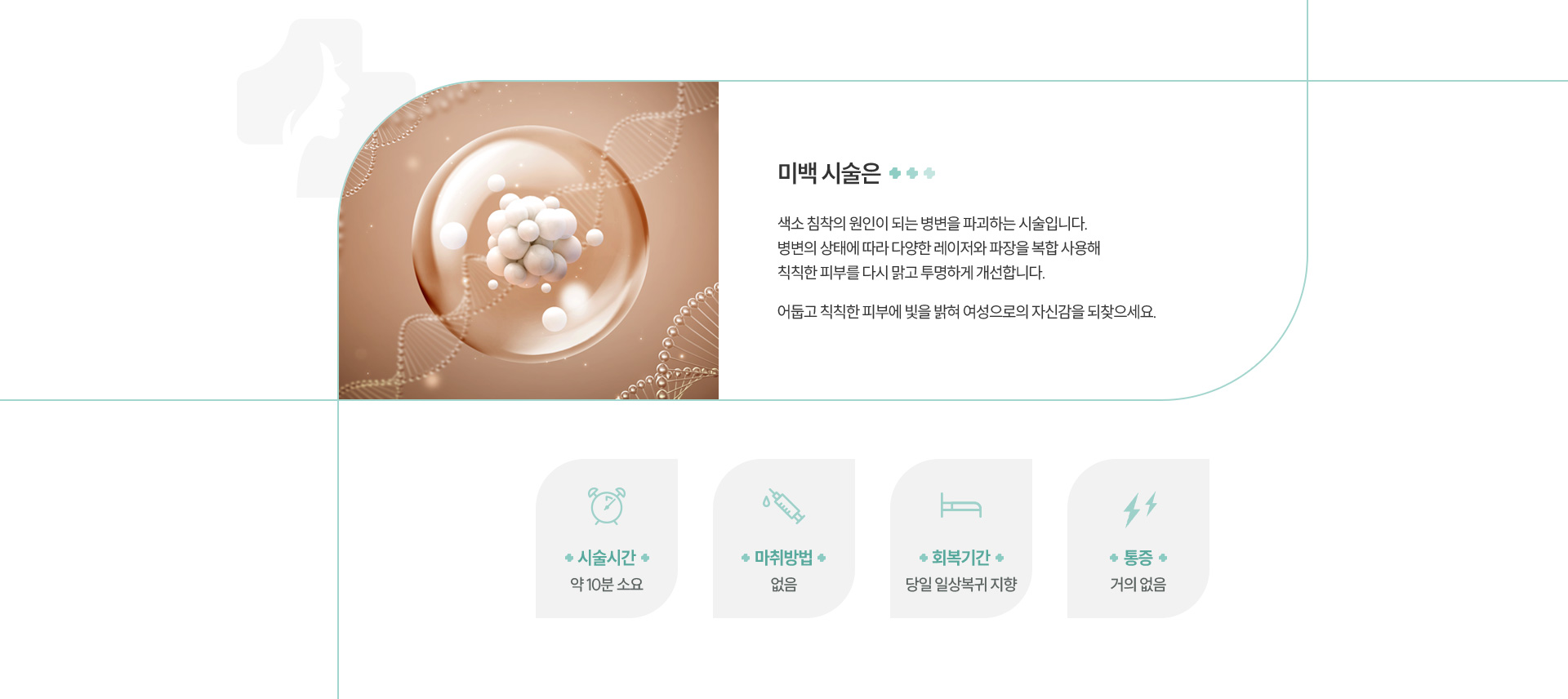 미백클리닉 정의