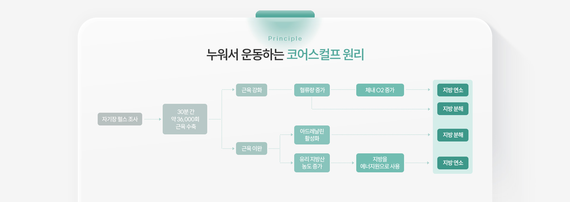 코어스컬프 원리