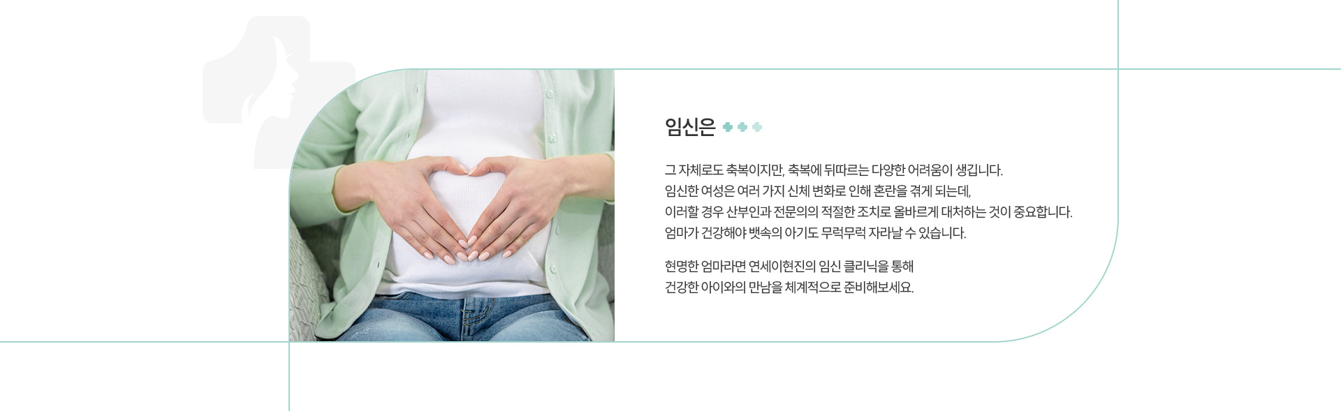 임신클리닉 정의