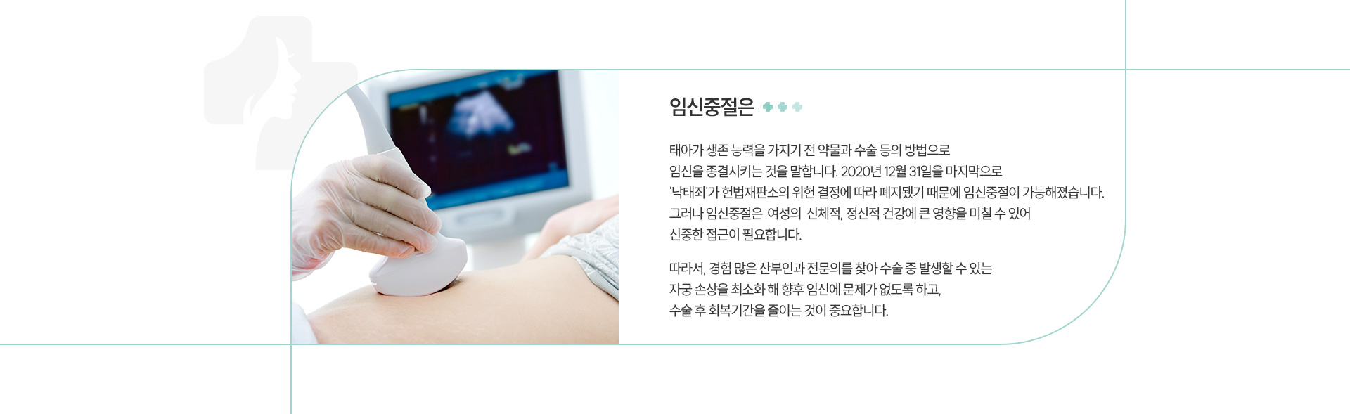 임신중절클리닉 정의