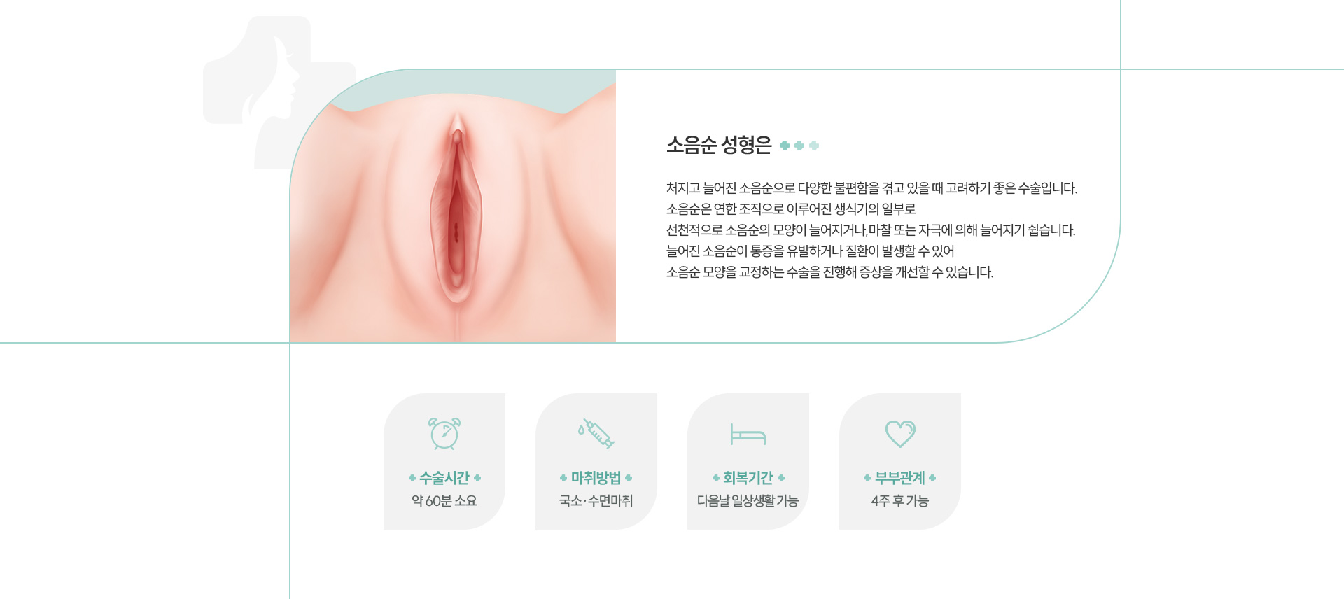 소음순성형 정의