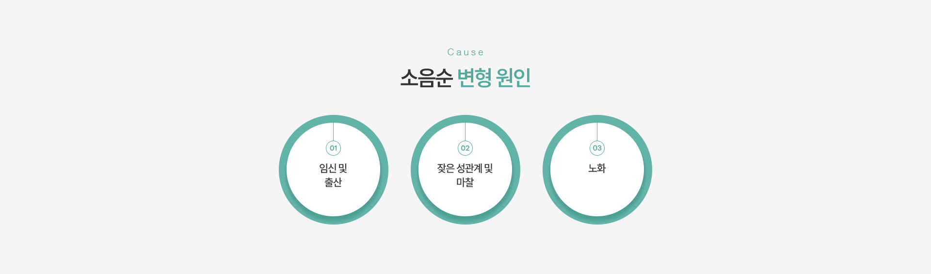 소음순성형 원인