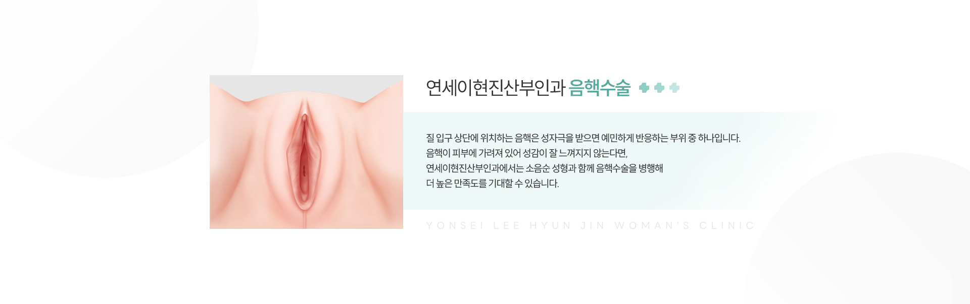 소음순성형 음핵수술