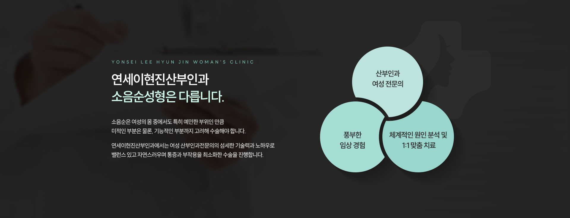 소음순성형 