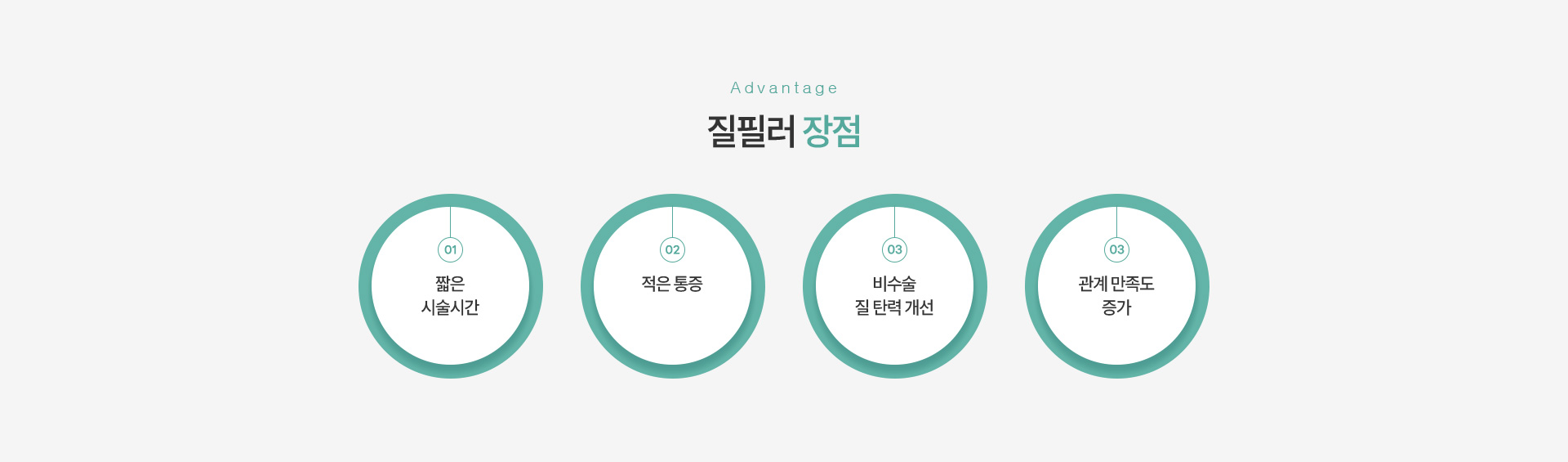 질필러 장점