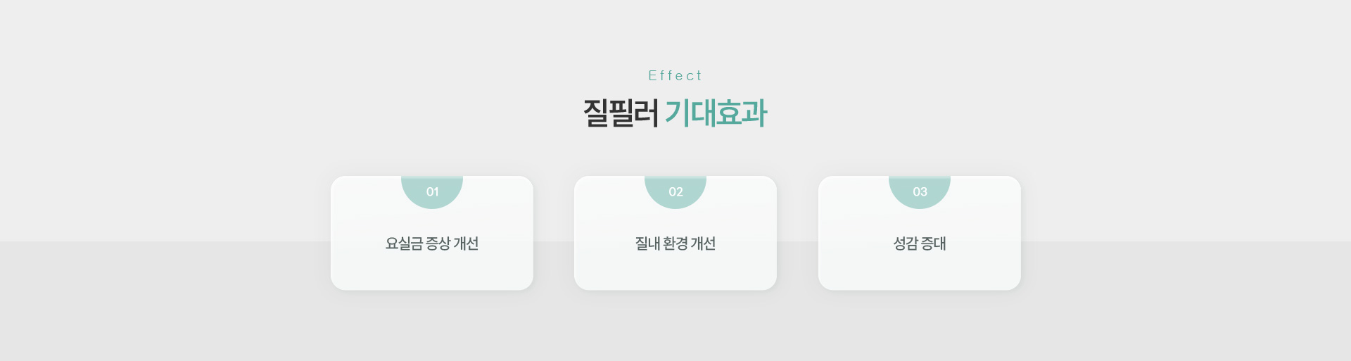 질필러 기대효과