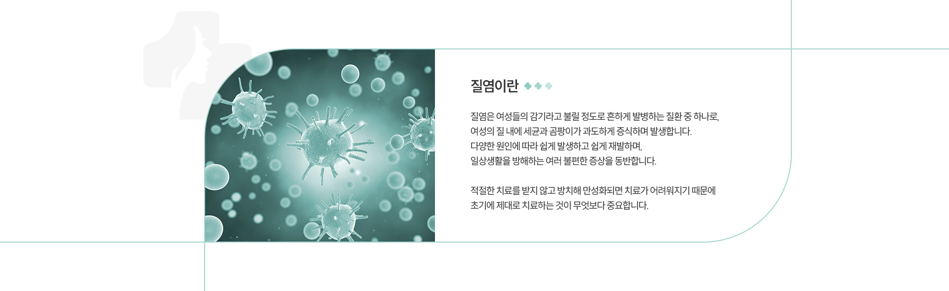 질염 정의