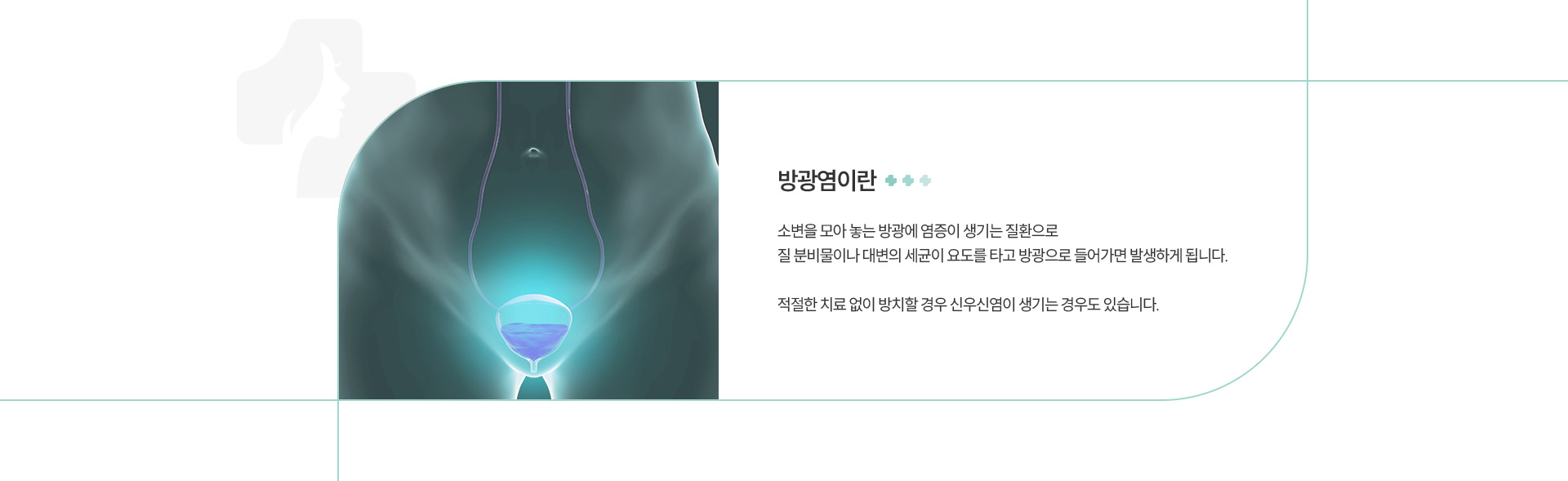 방광염 정의
