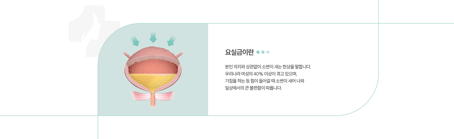 요실금 정의