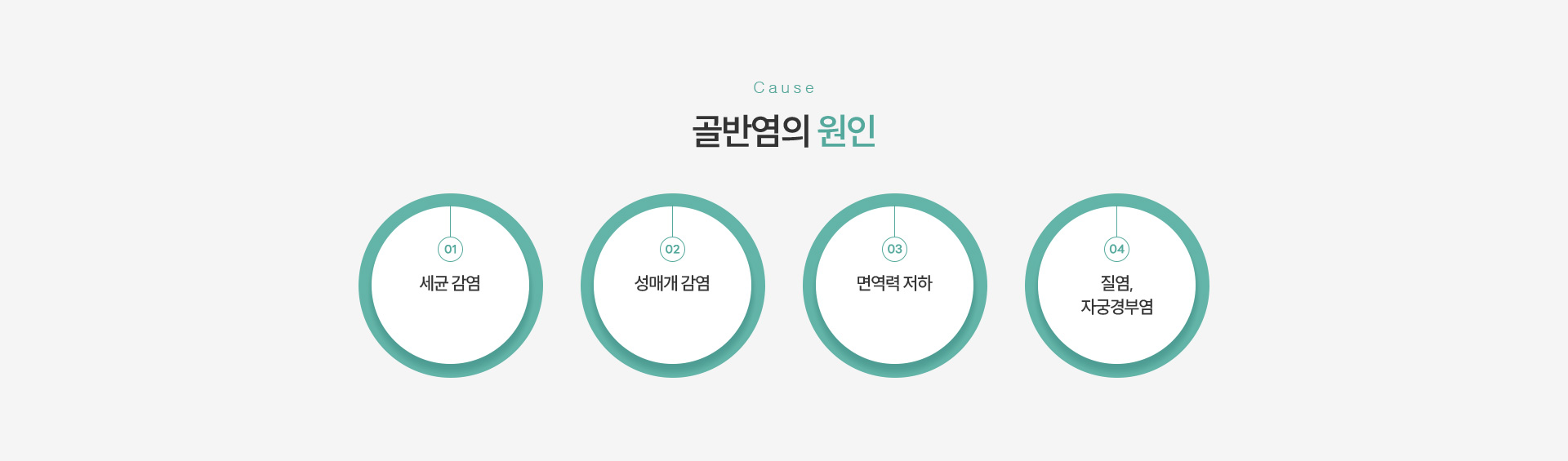 골반염 원인