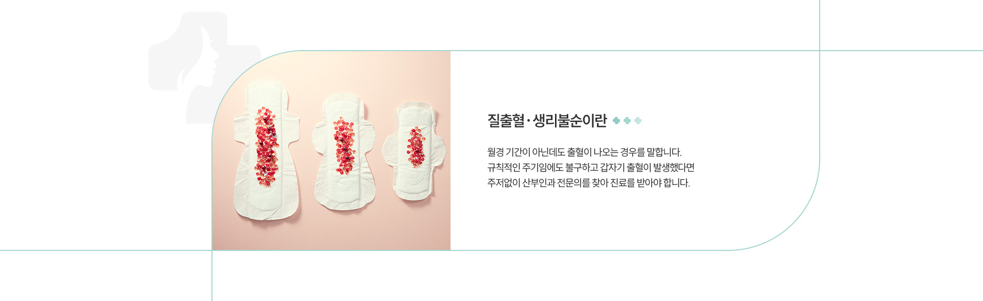 질출혈/생리불순 정의