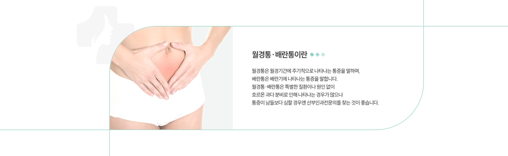 월경통/배란통 정의