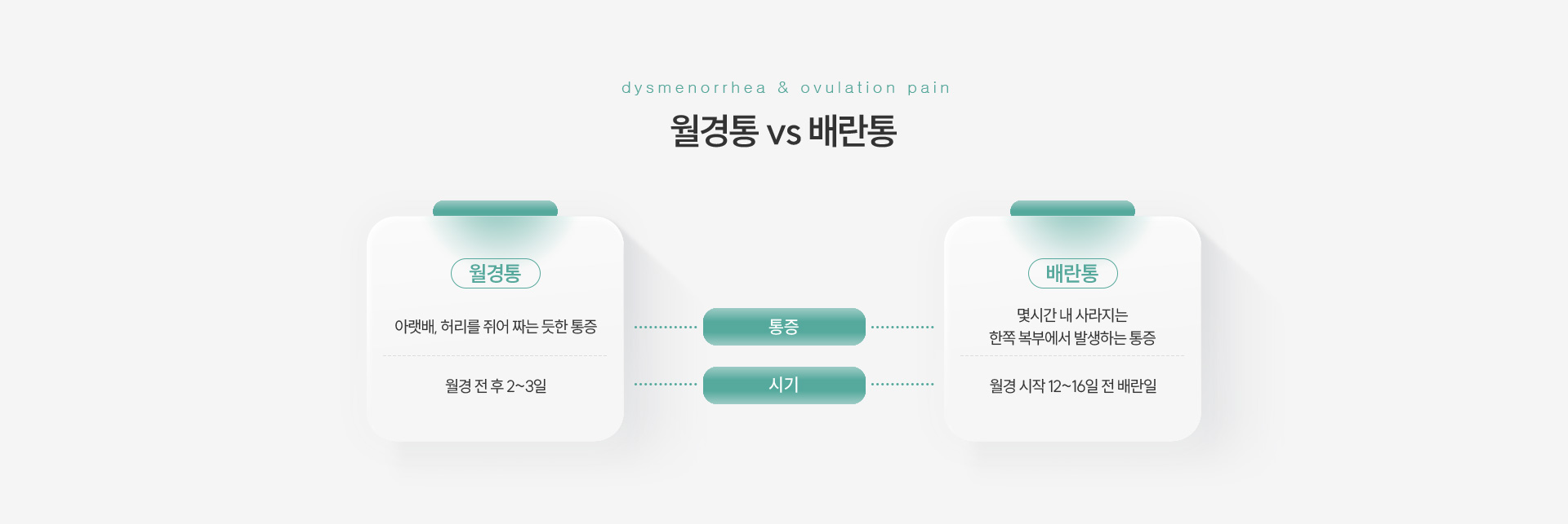 월경통/배란통 비교