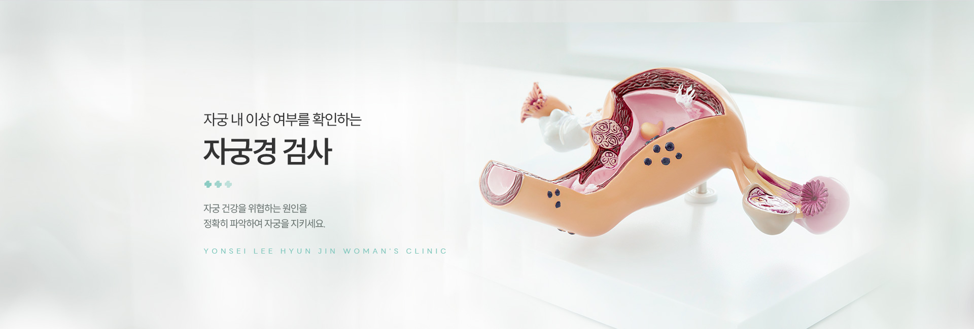 연성자궁경 키비주얼