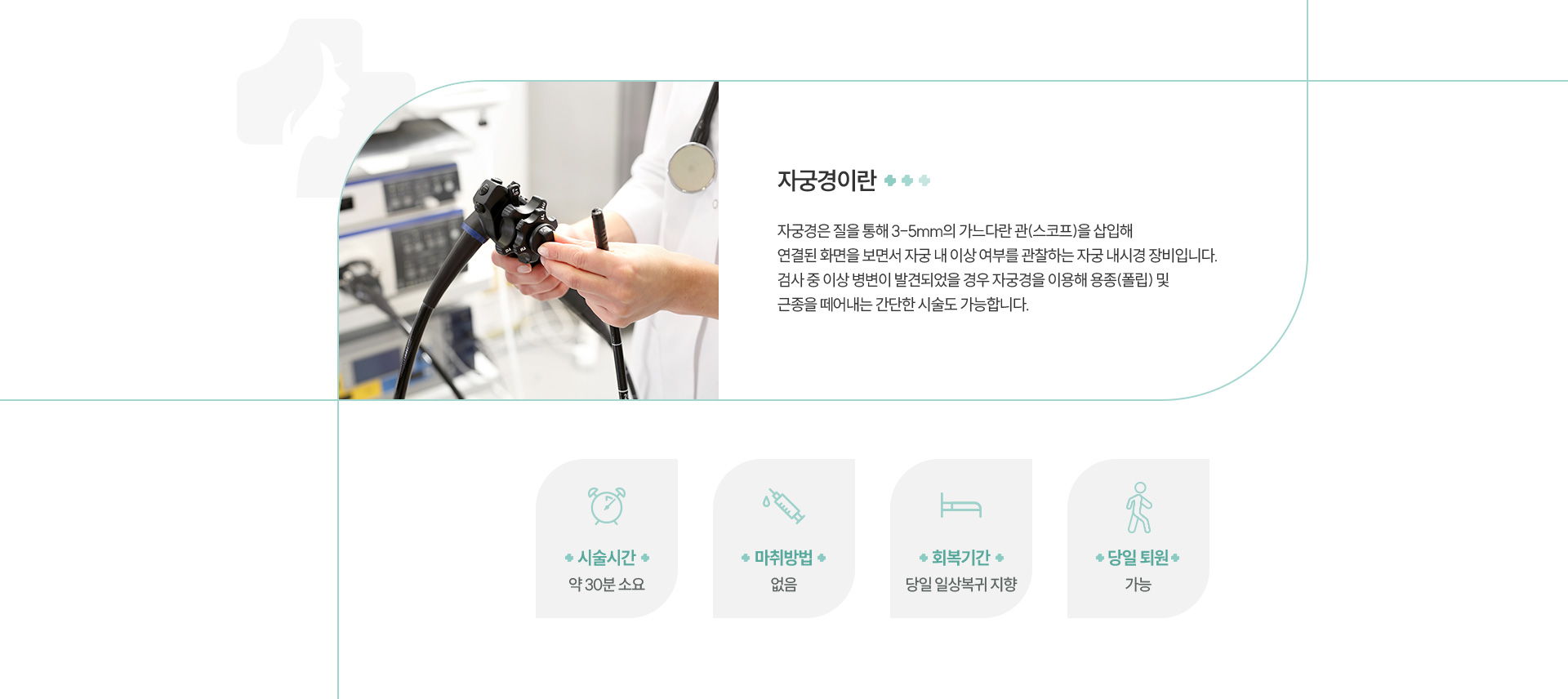 연성자궁경 정의