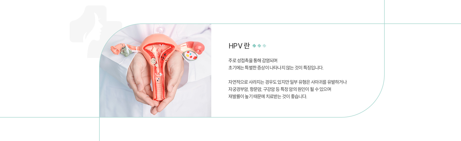 HPV 정의