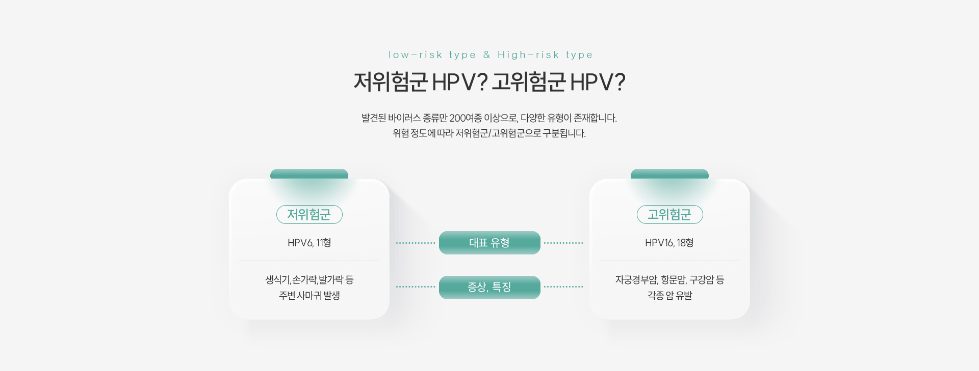 HPV 저위험군고위험군